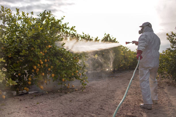 Pest Control for Warehouses in Grandview, MO